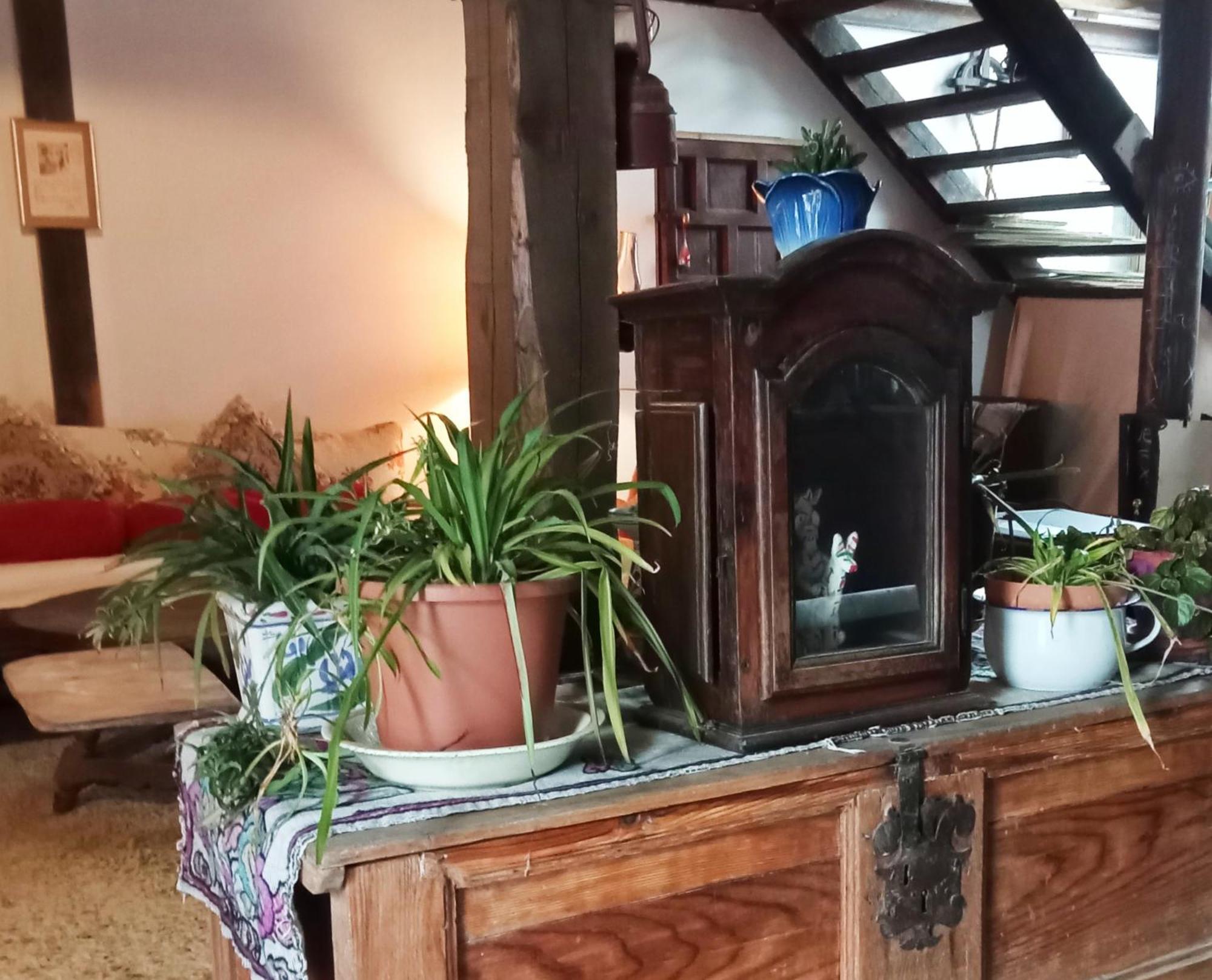 Suite En Cuadra Pajar, Casa Rural Hoz de Jaca Zewnętrze zdjęcie